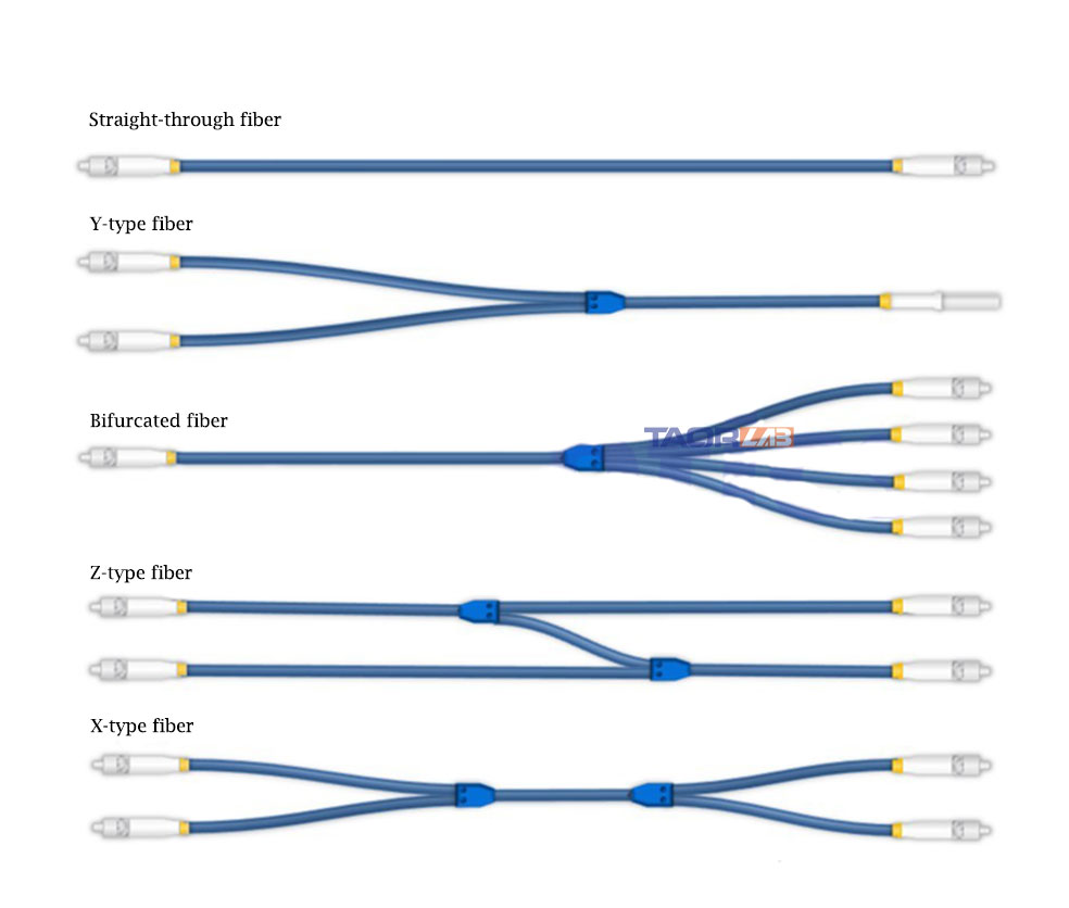 optical fiber